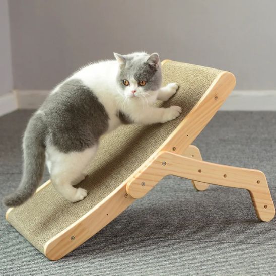 gros chat grimpé dessus griffoir carton ProtectMeuble