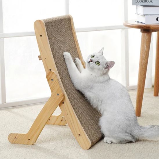 minou fait griffes sur griffoir carton ProtectMeuble