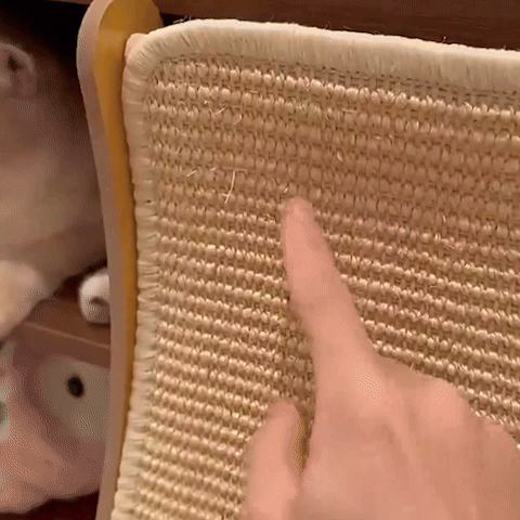 chat qui fait ses griffes sur un griffoir à chat design en sisal