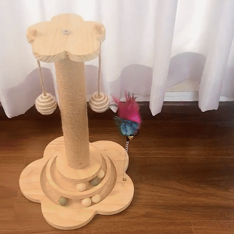 chat qui griffe un griffoir en sisal avec mouvement interactif