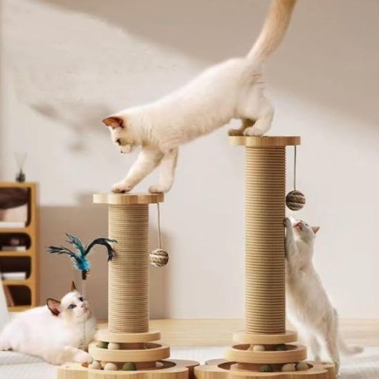 chat grimpé dessus griffoir en sisal NaturPro