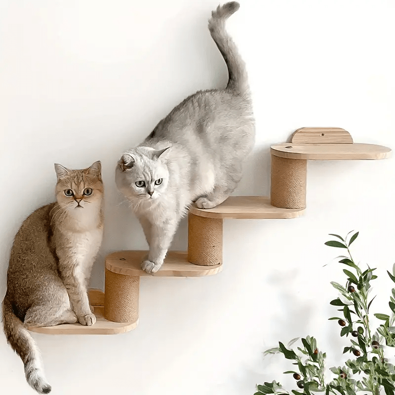 chats heureux dessus Griffoir mural Chat CatPlus