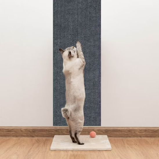 chat fait griffes sur griffoir mural chat MurGriff
