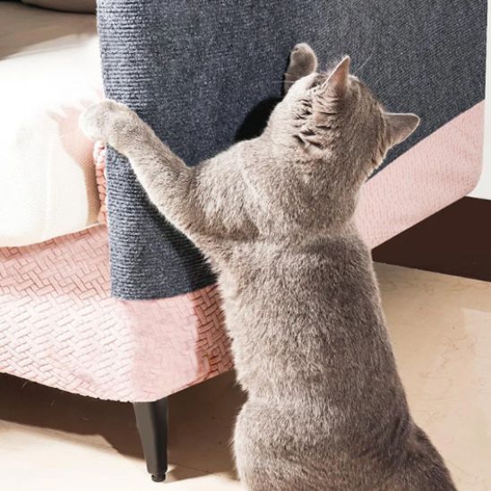 chat joue dessus griffoir mural chat MurGriff