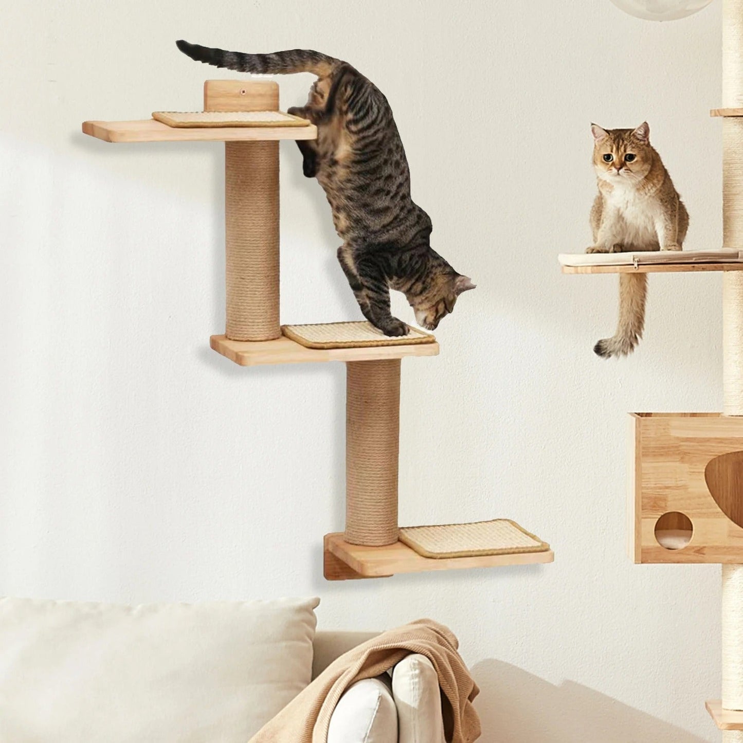chat descend griffoir mural chat stratocat