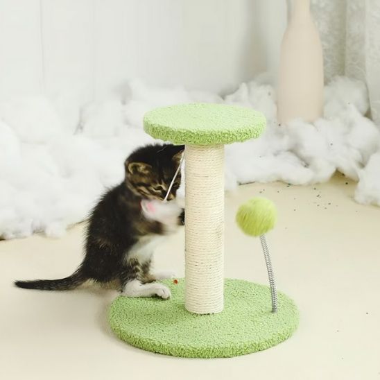 chaton fait griffes sur griffoir Protection féline