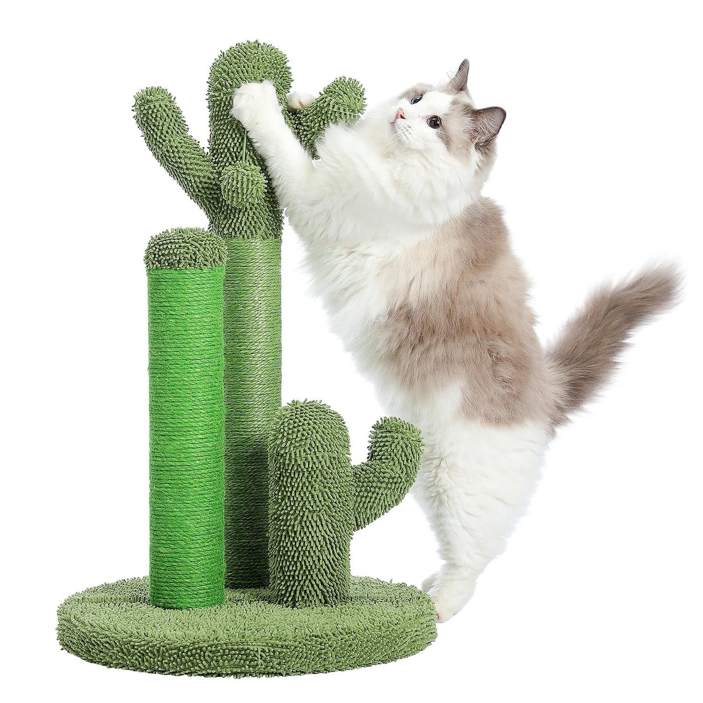 griffoir vertical chat cactus vert en situation