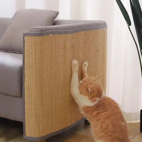 chat fait griffes sur griffoire chat installé cÎté canapé ChatCroc