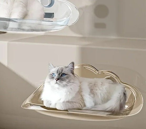 hamac chat mural brun transparent