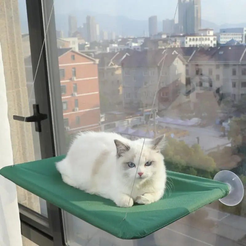 chat couché dessus hamac vert