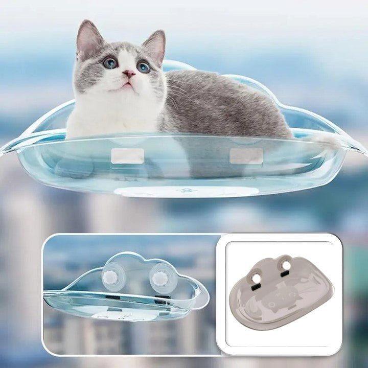 chat relax dans hamac mural chat bleu transparent Douce Vue