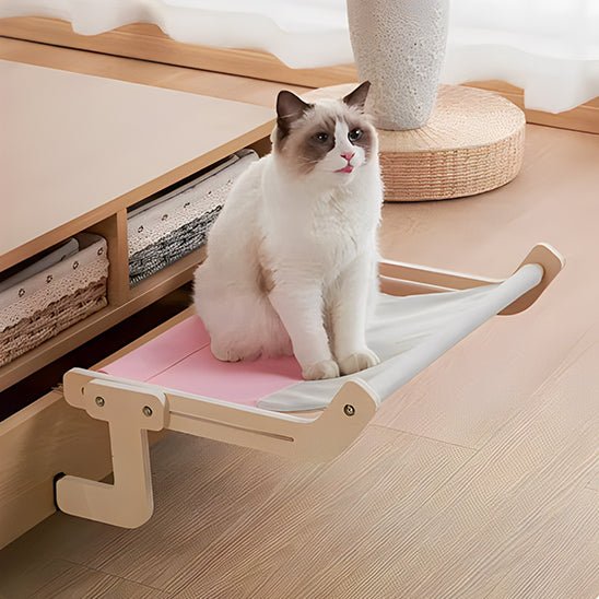 chat assis hamac installé bord lit
