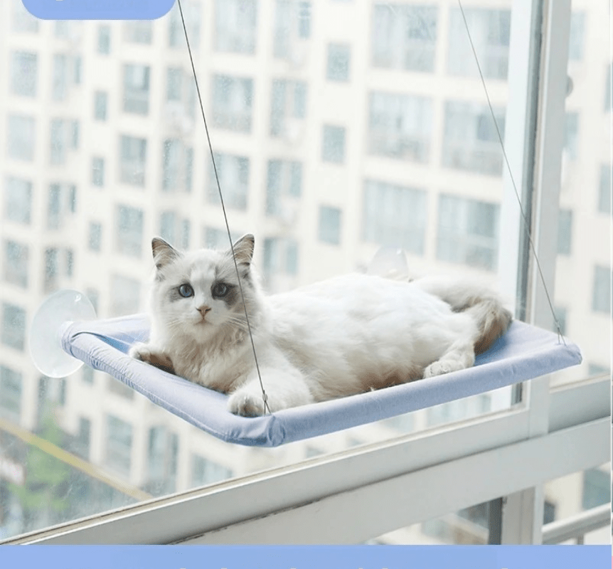 hamac pour chat bleu