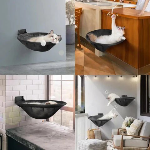 chat joue hamac noir accroché mur