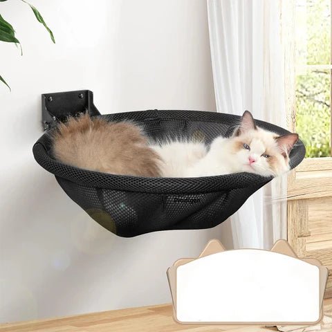 chat dort confortablement hamac rond