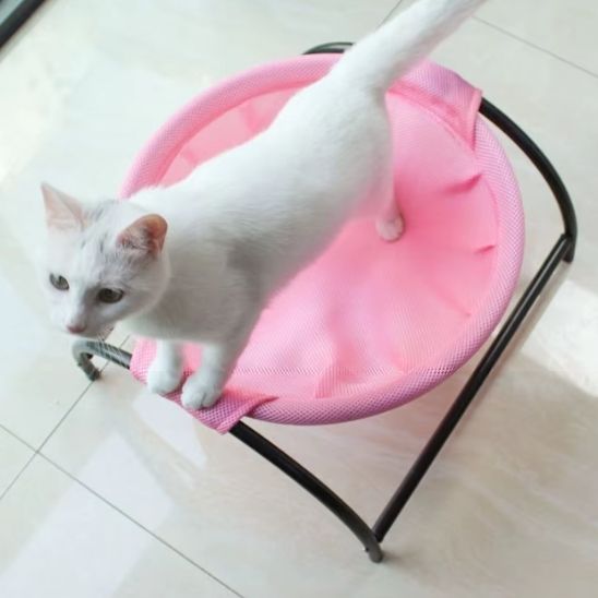 minou grimpe dessus hamac pour chat rond CozyPaws