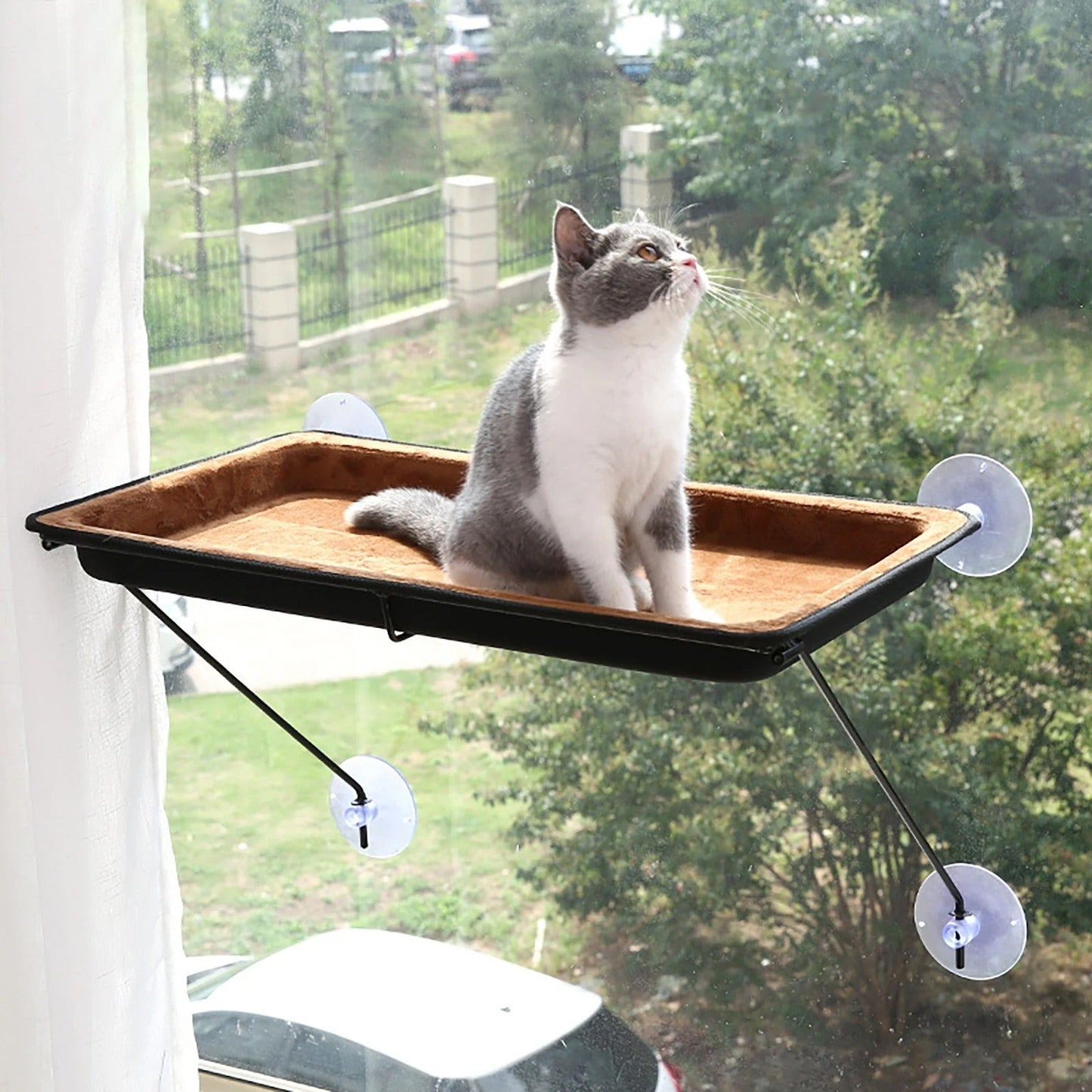 Hamac pour chat fenetre | Hamaclin - Passion Murale