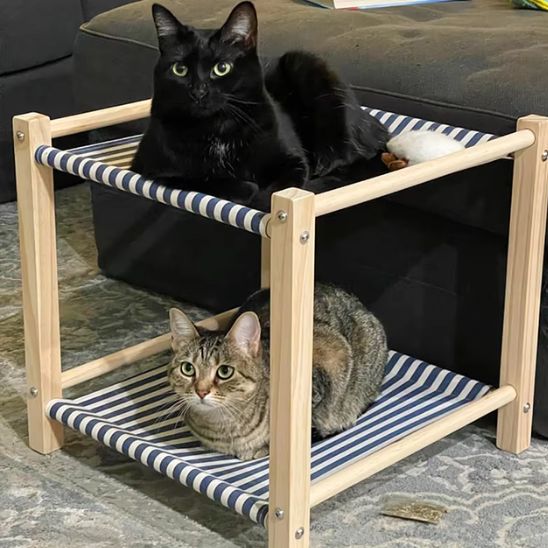 chats reposent dessus hamac pour chat tissus bleu blanc ZenMiaou