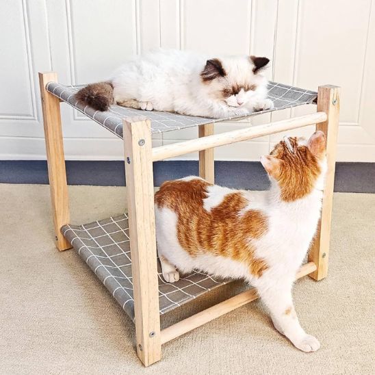 chats explorent hamac pour chat bois ZenMiaou