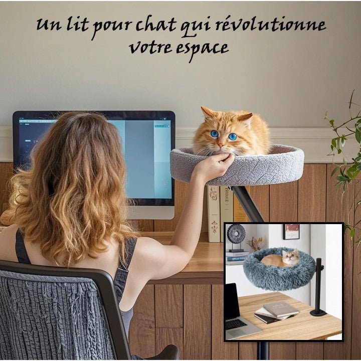 lit chat accroché bureau travail maitresse flatte chat