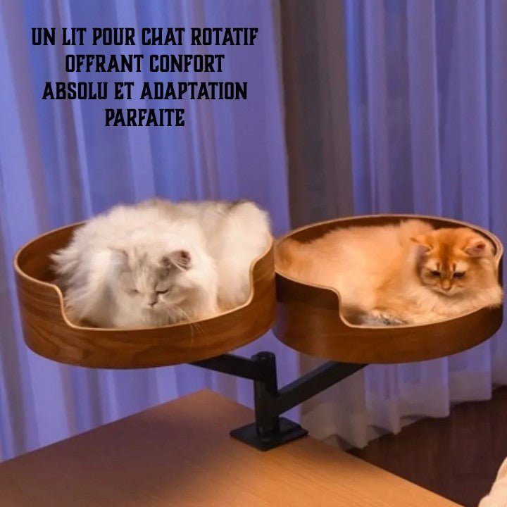 lit chat double bureau deux chats dors dedans
