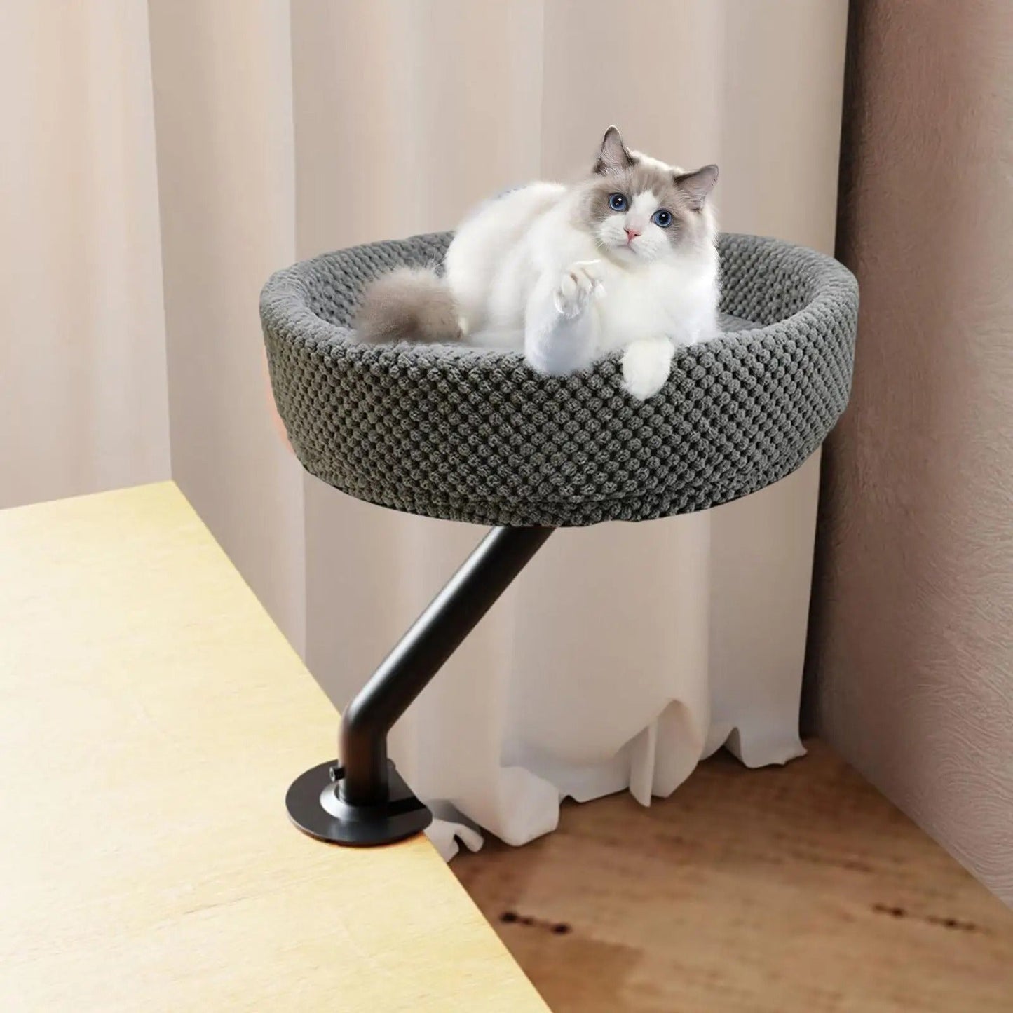 lit chat gris installé bureau chat dedans