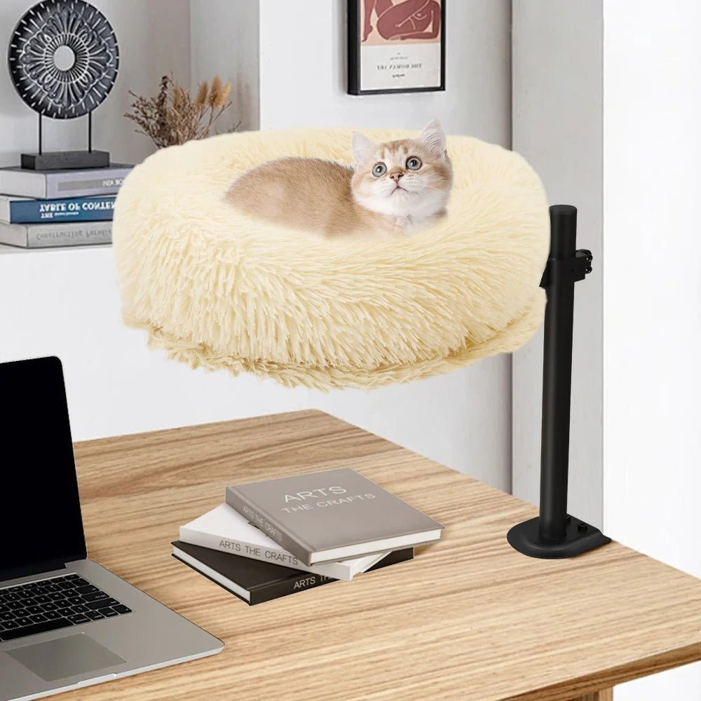 lit flottant beige accrocher bureau chat heureux dors dedans