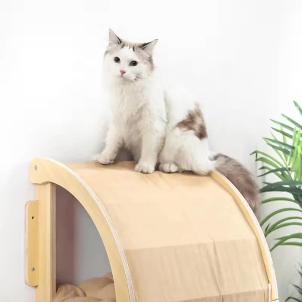 NICHE POUR CHAT - BEAUX RĂVES - Passion Murale