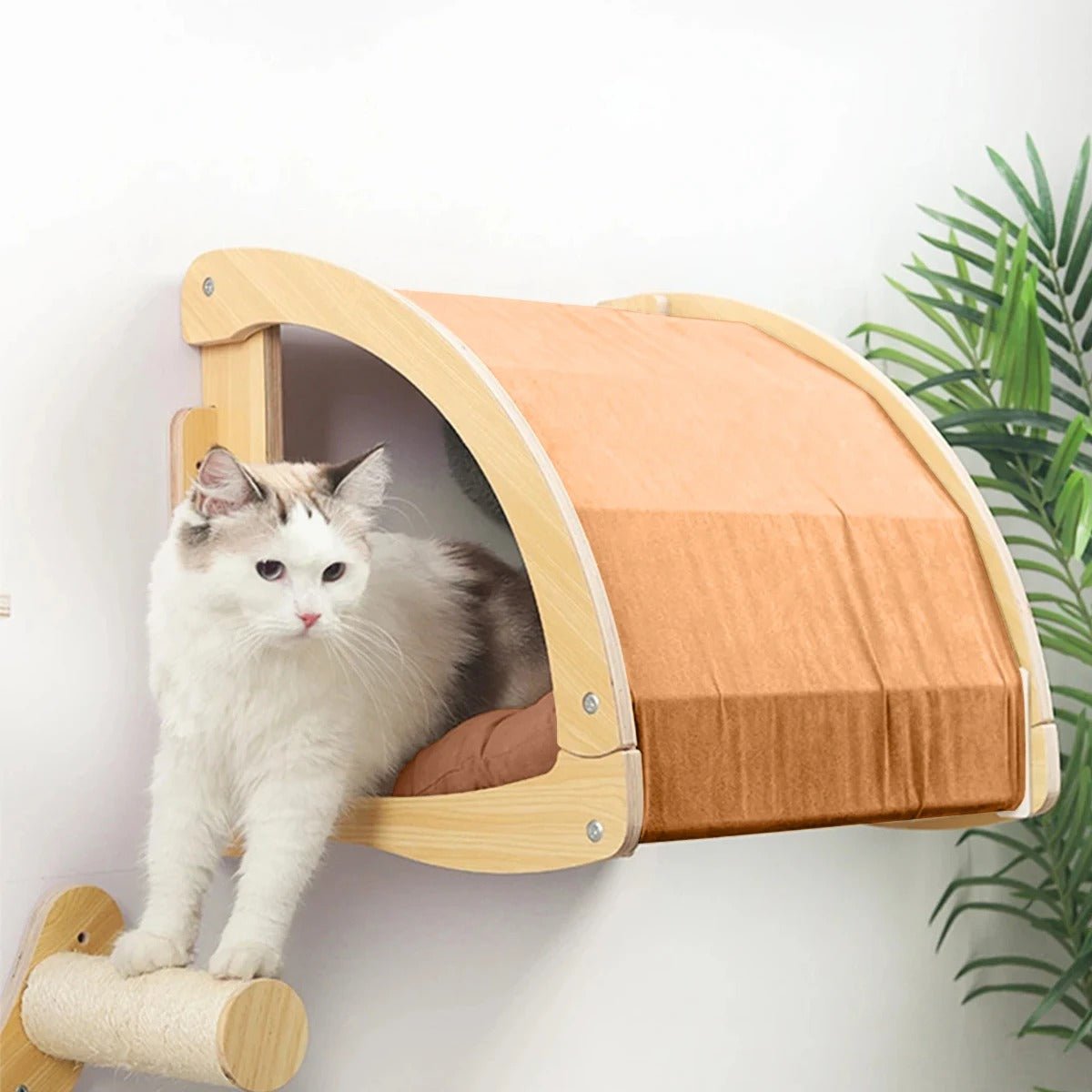 NICHE POUR CHAT - BEAUX RĂVES - Passion Murale