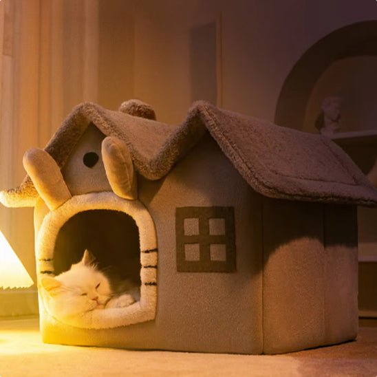 chat fait dodo nuit dedans niche
