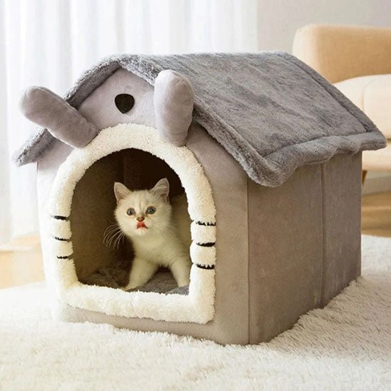 chaton explore niche pour chat grise