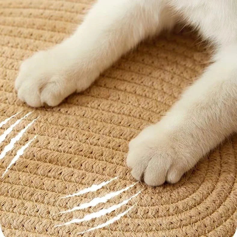 chat griffe panier chat rotin Rotinou