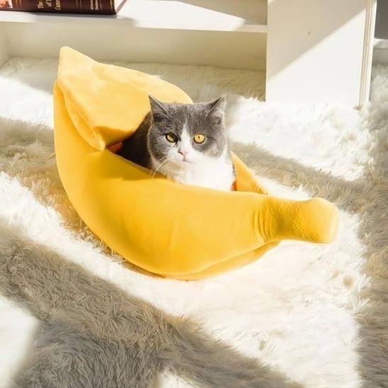 Gros minet couché dans panier pour chat BanaChat