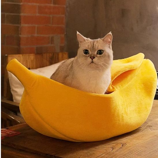 gros minou assis dans panier pour chat BanaChat
