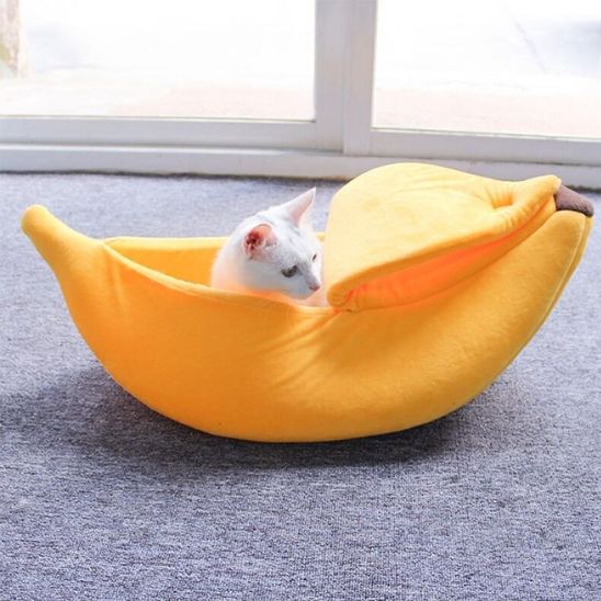 petit chaton blanc dans panier pour chat BanaChat