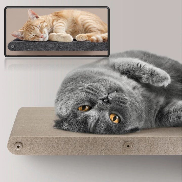 PETIT ARBRE A CHAT - MURIFY - F - Passion Murale
