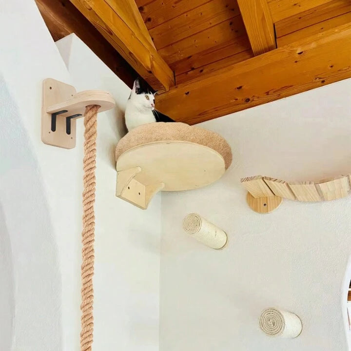 plusieurs modules arbre chat mural installé hauteur chat dedans