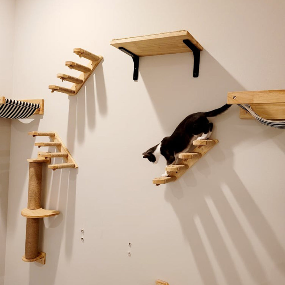 Arbre à chat design : Top 10 à connaître !