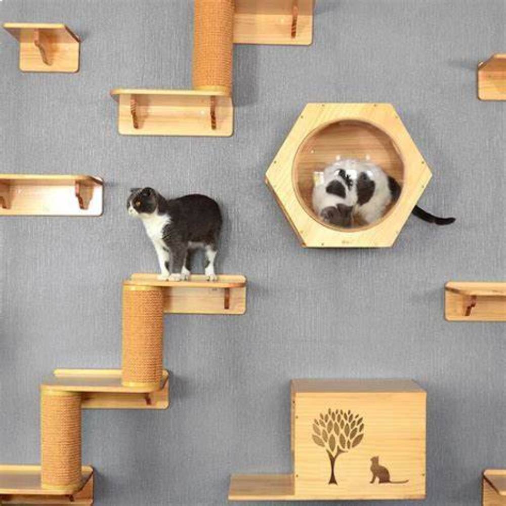 Arbre a chat design: Guide complet du bonheur félin - Passion Murale