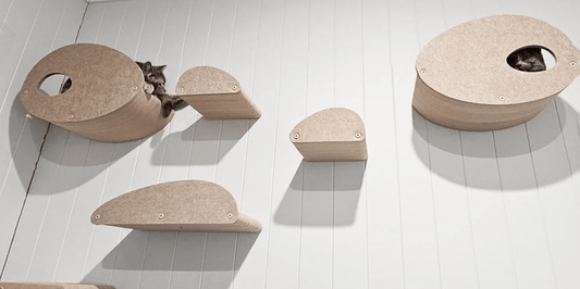 Arbre à chat design : la solution idéal pour un chat épanouis - Passion Murale