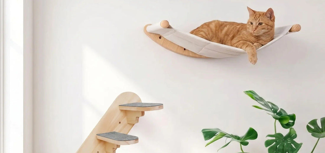 arbre à chat design mural hamac chat intérieur moderne