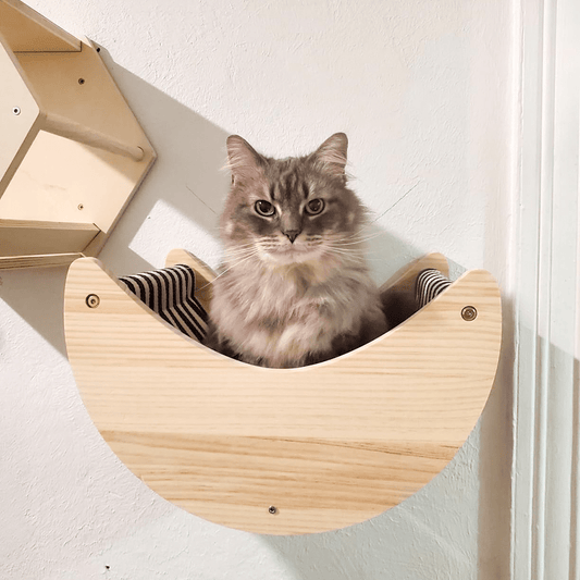 Arbre à chat design : Tout savoir pour rendre votre chat épanouis - Passion Murale