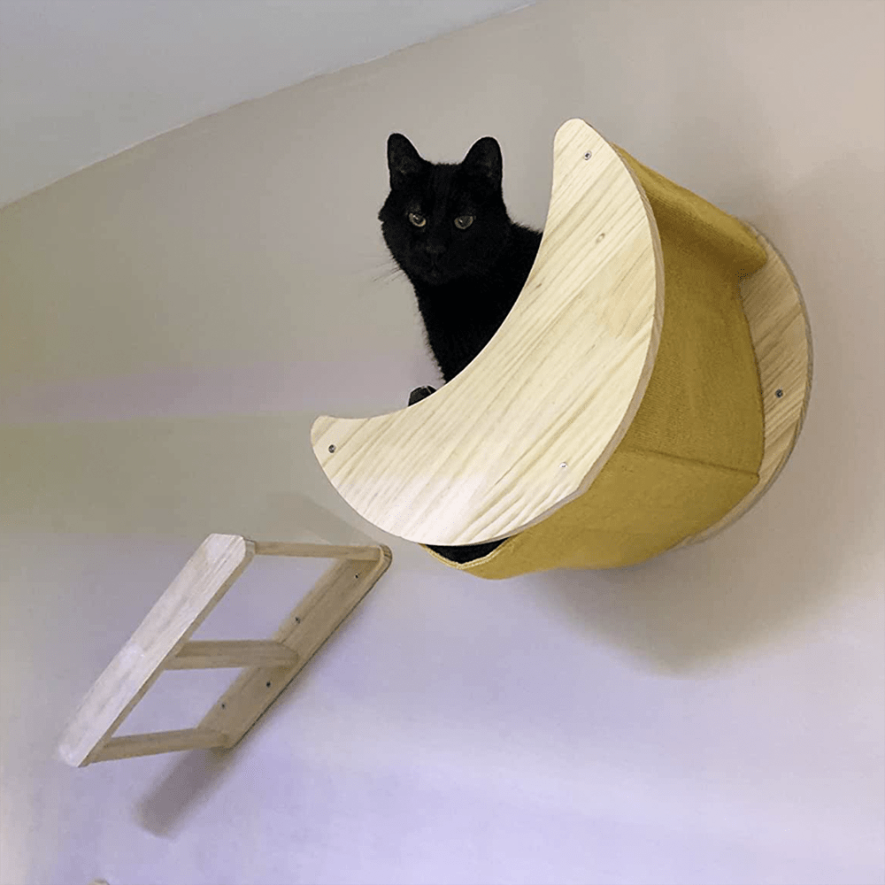 Arbre à chat en bois naturel : un véritable investissement ! - Passion Murale
