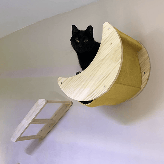 Arbre à chat en bois naturel : un véritable investissement ! - Passion Murale