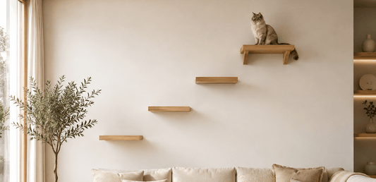 Arbre à chat mural : comment choisir le bon modèle ? 🌳 - Passion Murale
