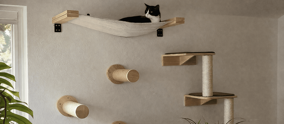 arbre à chat mural design en bois naturel dans une maison