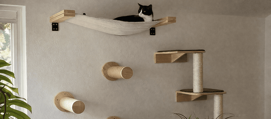 arbre à chat mural design en bois naturel dans une maison