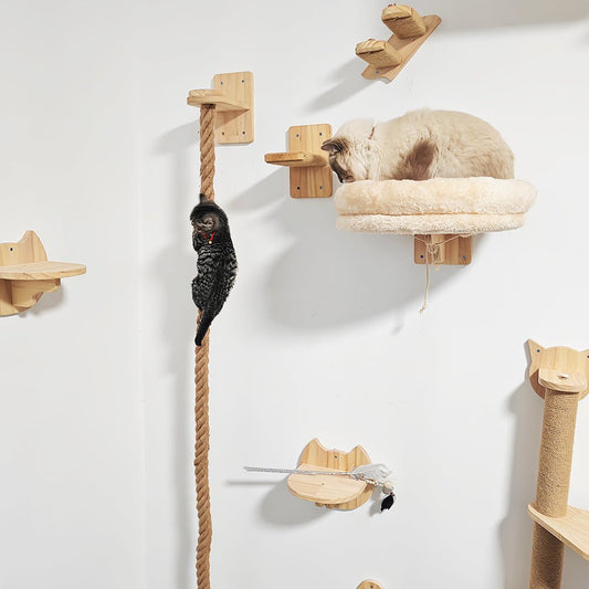 Arbre à chat mural : Nos astuces pour combler votre félin de bonheur ! - Passion Murale