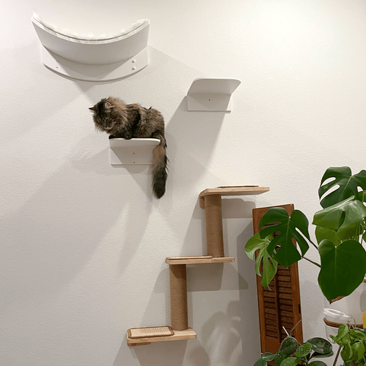 Arbre à chat mural : un vaste choix juste pour minet ! - Passion Murale