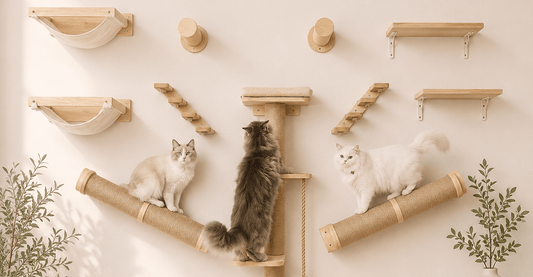 parcours mural pour chat dans un salon beige chic